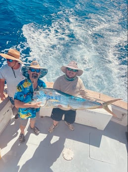 Mahi Mahi / Dorado fishing in Port Orange, Florida