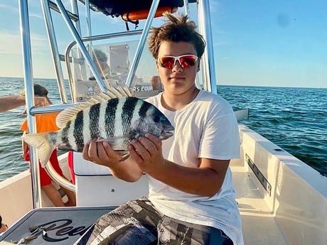 Sheepshead Fishing in Sarasota, Florida