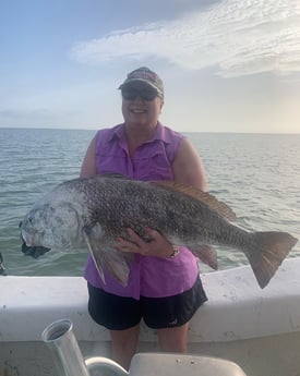 Black Drum fishing in Corpus Christi, Texas