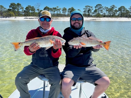 Redfish Fishing in Tallahassee, Florida