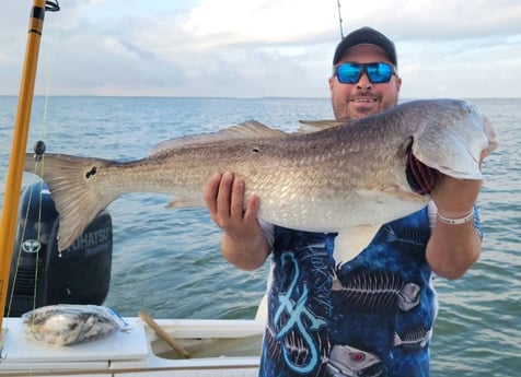 Redfish Fishing in Galveston, Texas