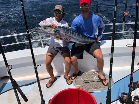 Wahoo fishing in Orange Beach, Alabama