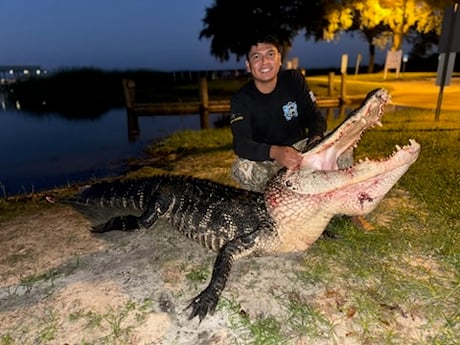 Fishing in Cape Coral, Florida