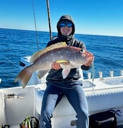 Snowy Grouper Fishing in Destin, Florida