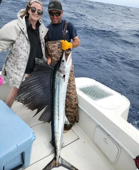 Sailfish Fishing in Key Largo, Florida