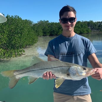 Snook Fishing in Key Largo, Florida