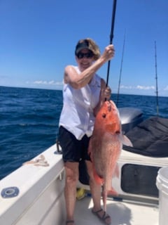 Red Snapper Fishing in Orange Beach, Alabama