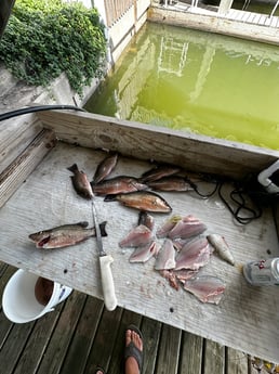 Fishing in South Padre Island, Texas