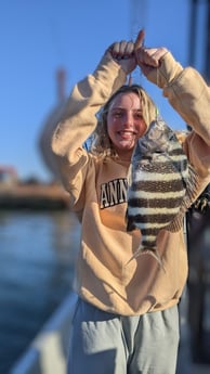 Sheepshead Fishing in St. Petersburg, Florida