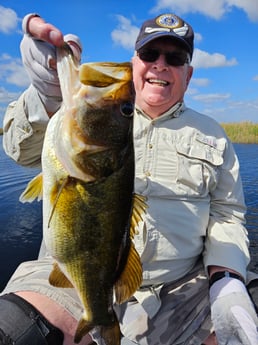 Largemouth Bass Fishing in Fort Lauderdale, Florida