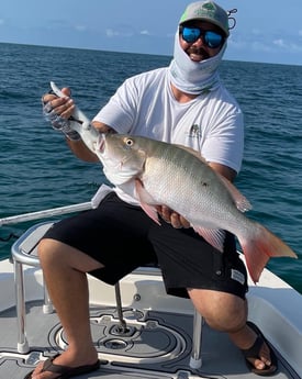 Mahi Mahi / Dorado fishing in Key Largo, Florida