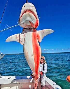 Fishing in Pompano Beach, Florida