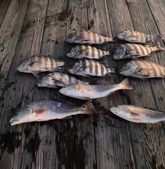 Fishing in Johns Island, South Carolina