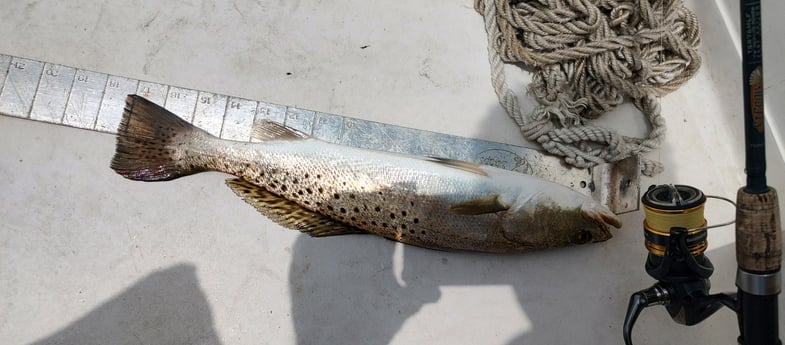 Fishing in Santa Rosa Beach, Florida