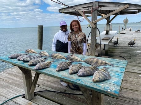 Sheepshead fishing in Galveston, Texas