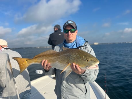 Redfish Fishing in Pensacola, Florida