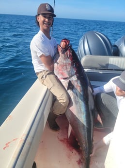 Bluefin Tuna Fishing in San Diego, California