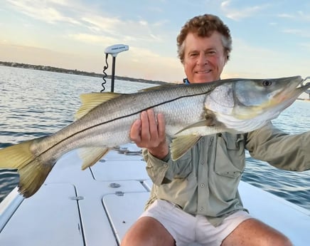 Snook Fishing in Clearwater, Florida