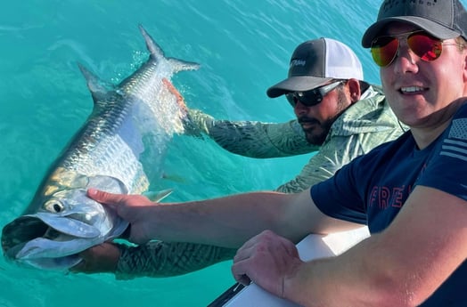 Tarpon fishing in Tavernier, Florida