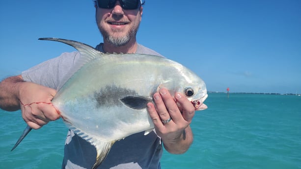 Florida Pompano fishing in Islamorada, Florida