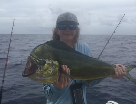 Mahi Mahi / Dorado Fishing in Tampa, Florida