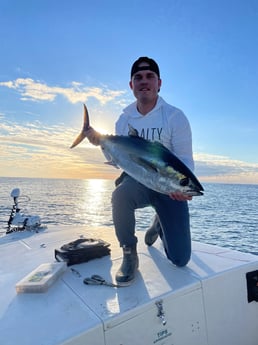 Blackfin Tuna fishing in Mount Pleasant, South Carolina