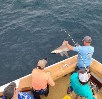 Blacktip Shark Fishing in Destin, Florida