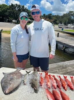 Amberjack, Red Snapper, Triggerfish fishing in Pensacola, Florida