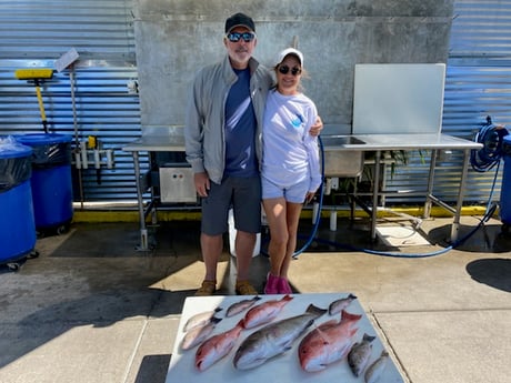 Mangrove Snapper, Red Snapper Fishing in Destin, Florida