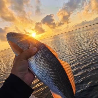 Fishing in Aransas Pass, Texas