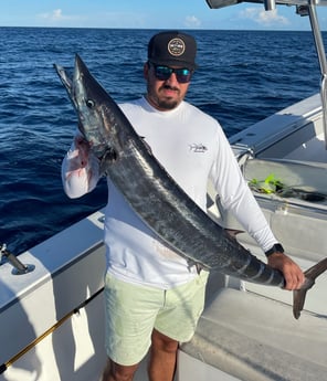 Wahoo fishing in Key West, Florida