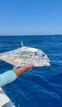 Fishing in Cape Coral, Florida