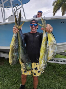 Mahi Mahi Fishing in Fort Lauderdale, Florida