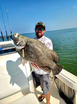 Tripletail Fishing in Boothville-Venice, Louisiana