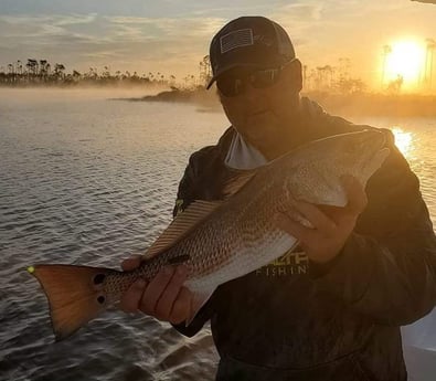 Redfish Fishing in Panama City, Florida