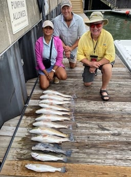 Black Drum, Redfish, Speckled Trout / Spotted Seatrout fishing in Galveston, Texas