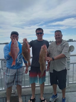 Red Grouper, Red Snapper fishing in Clearwater, Florida