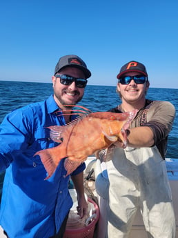 Hogfish Fishing in Clearwater, Florida