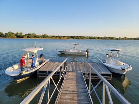 Black Seabass fishing in Whitney, Texas