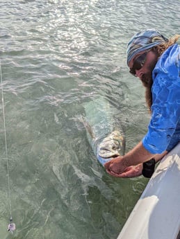 Tarpon fishing in Islamorada, Florida