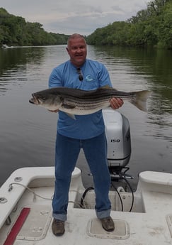 Striped Bass Fishing in Frisco, North Carolina