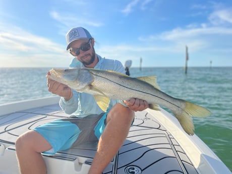 Snook fishing in Clearwater, Florida