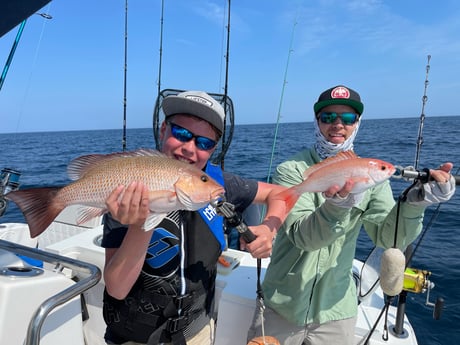 Mangrove Snapper, Red Snapper fishing in St. Augustine, Florida