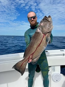 Black Grouper Fishing in Islamorada, Florida