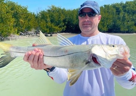 Snook fishing in Tavernier, Florida