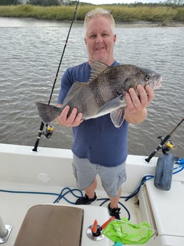 Black Drum Fishing in Mount Pleasant, South Carolina