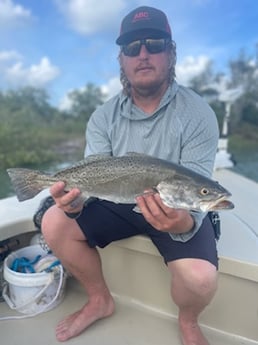 Snook fishing in Palm Coast, Florida