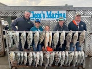 Black Drum, Redfish, Sheepshead Fishing in Corpus Christi, Texas