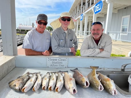 Redfish, Sheepshead, Speckled Trout / Spotted Seatrout Fishing in Galveston, Texas