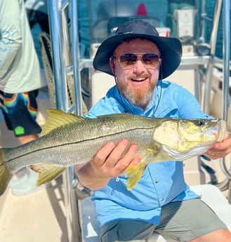 Snook fishing in Sarasota, Florida